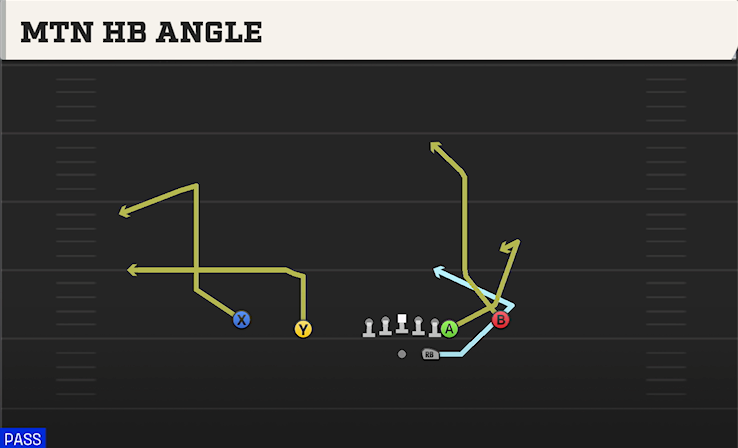MTN HB ANGLE play diagram College Football 27