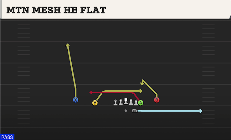 MTN MESH HB FLAT play diagram College Football 27