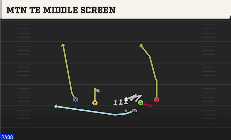 MTN TE MIDDLE SCREEN play diagram College Football 27