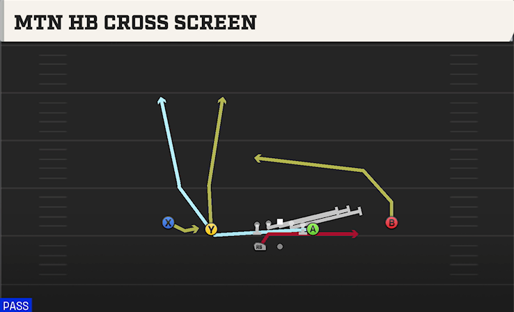 MTN HB CROSS SCREEN play diagram College Football 27