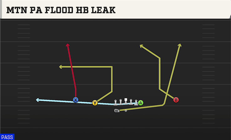MTN PA FLOOD HB LEAK play diagram College Football 27
