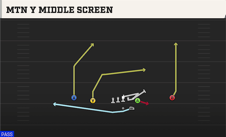 MTN Y MIDDLE SCREEN play diagram College Football 27
