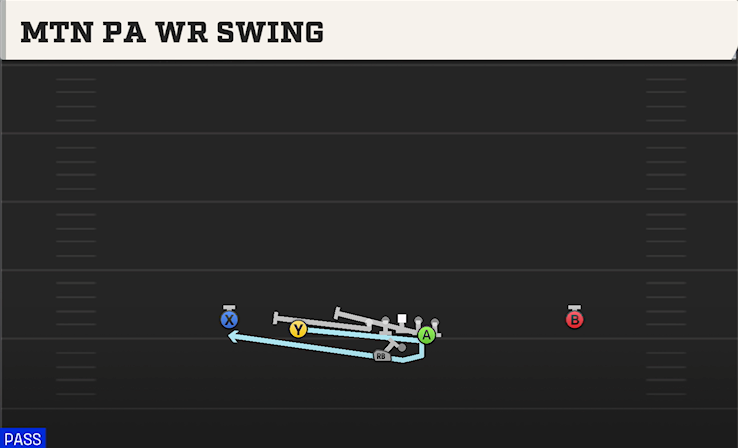 MTN PA WR SWING play diagram College Football 27