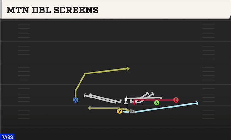 MTN DBL SCREENS play diagram College Football 27