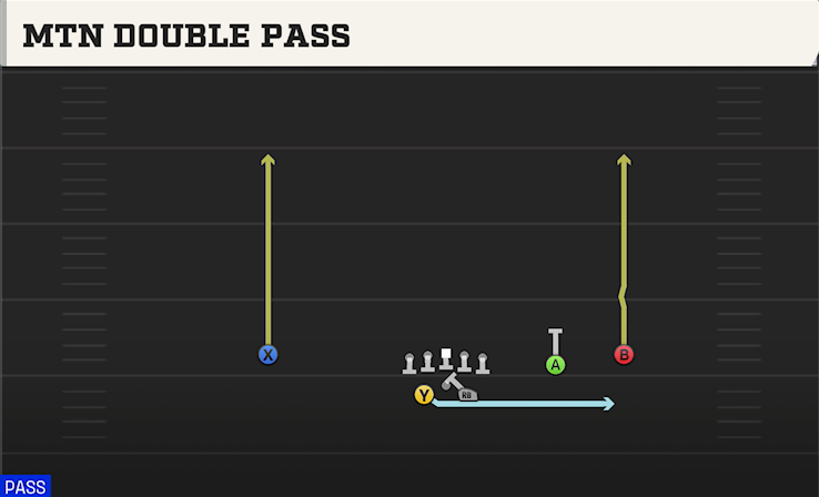 MTN DOUBLE PASS play diagram College Football 27