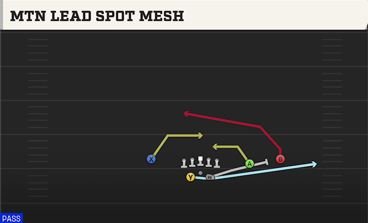 MTN LEAD SPOT MESH play diagram College Football 27