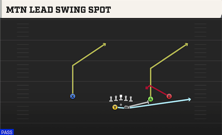 MTN LEAD SWING SPOT play diagram College Football 27