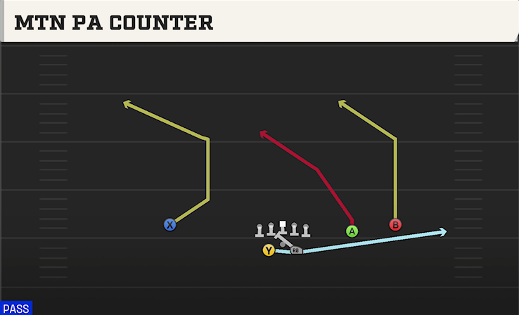 MTN PA COUNTER play diagram College Football 27