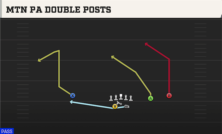 MTN PA DOUBLE POSTS play diagram College Football 27