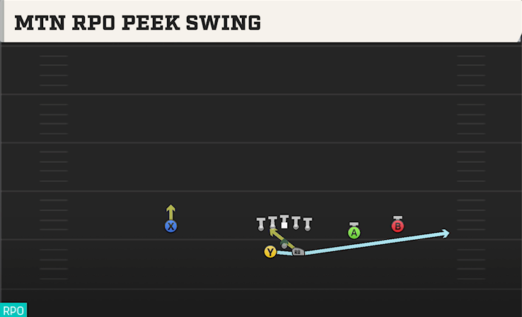 MTN RPO PEEK SWING play diagram College Football 27