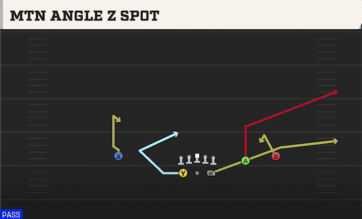 MTN ANGLE Z SPOT play diagram College Football 27