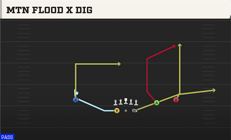 MTN FLOOD X DIG play diagram College Football 27