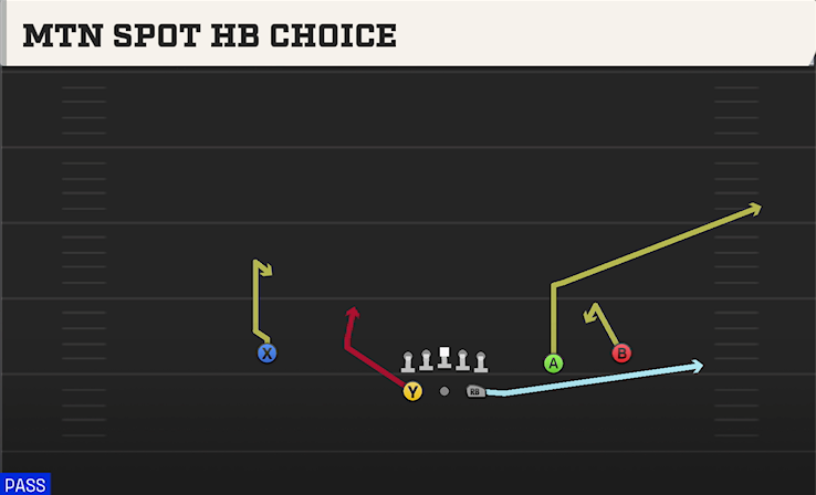 MTN SPOT HB CHOICE play diagram College Football 27