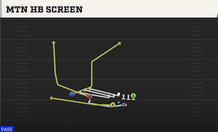 MTN HB SCREEN play diagram College Football 27