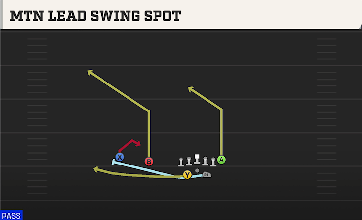 MTN LEAD SWING SPOT play diagram College Football 27