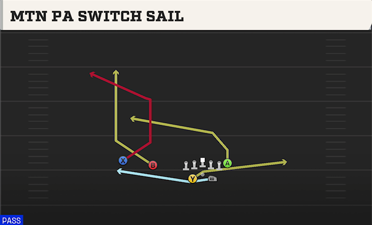 MTN PA SWITCH SAIL play diagram College Football 27