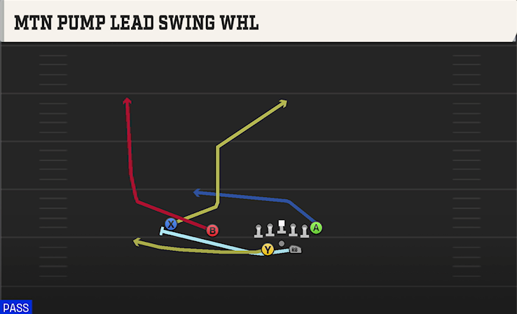 MTN PUMP LEAD SWING WHL play diagram College Football 27