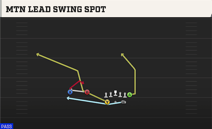 MTN LEAD SWING SPOT play diagram College Football 27