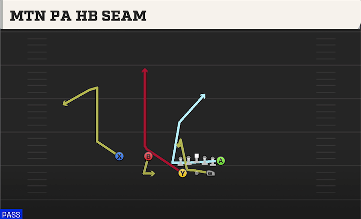 MTN PA HB SEAM play diagram College Football 27