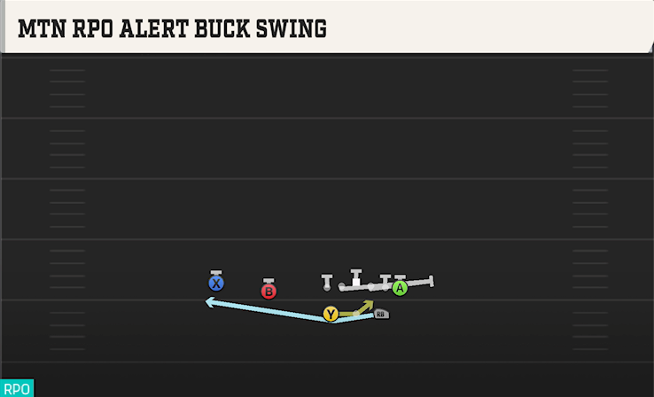 MTN RPO ALERT BUCK SWING play diagram College Football 27