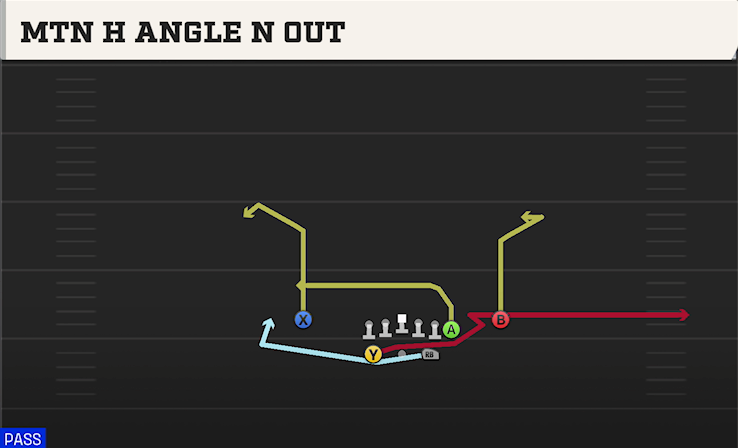 MTN H ANGLE N OUT play diagram College Football 27