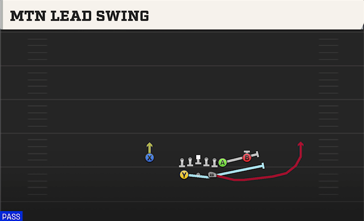 MTN LEAD SWING play diagram College Football 27