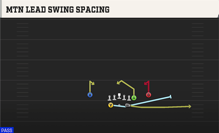 MTN LEAD SWING SPACING play diagram College Football 27