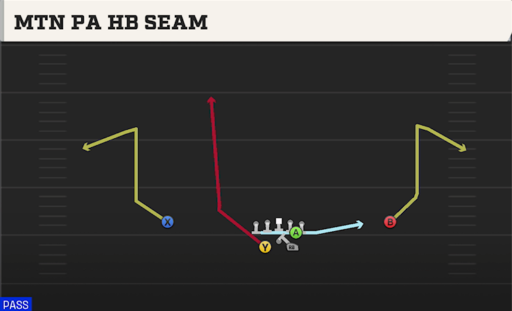 MTN PA HB SEAM play diagram College Football 27