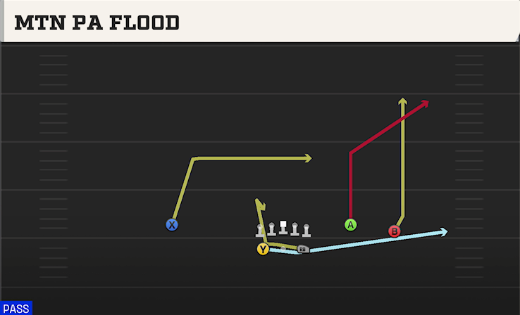 MTN PA FLOOD play diagram College Football 27