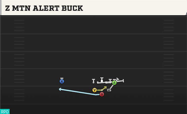 Z MTN ALERT BUCK play diagram College Football 27