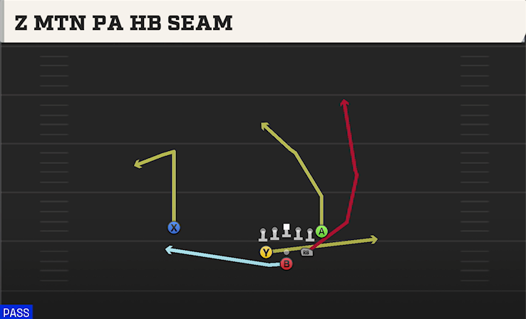 Z MTN PA HB SEAM play diagram College Football 27