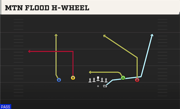MTN FLOOD H-WHEEL play diagram College Football 27