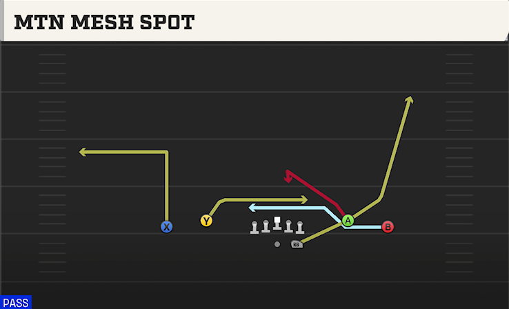 MTN MESH SPOT play diagram College Football 27