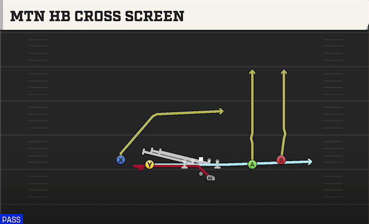 MTN HB CROSS SCREEN play diagram College Football 27