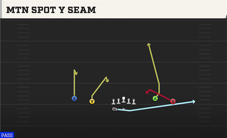 MTN SPOT Y SEAM play diagram College Football 27