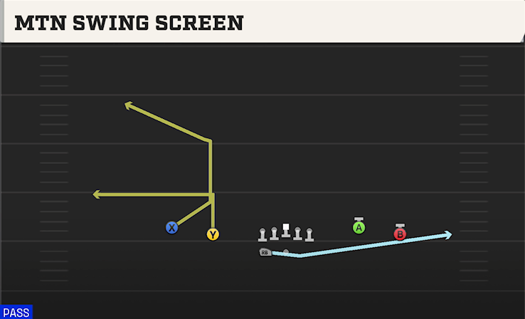 MTN SWING SCREEN play diagram College Football 27