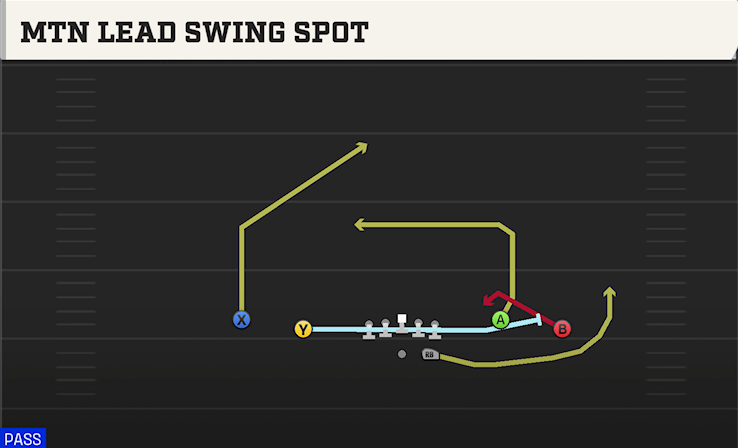 MTN LEAD SWING SPOT play diagram College Football 27
