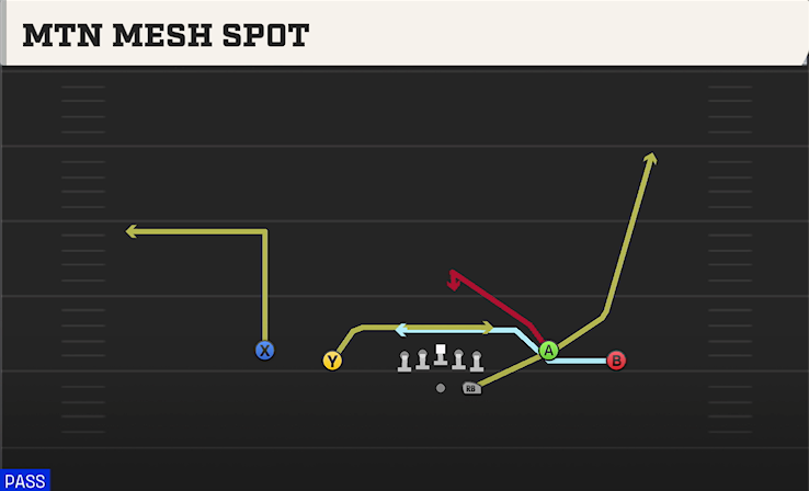 MTN MESH SPOT play diagram College Football 27