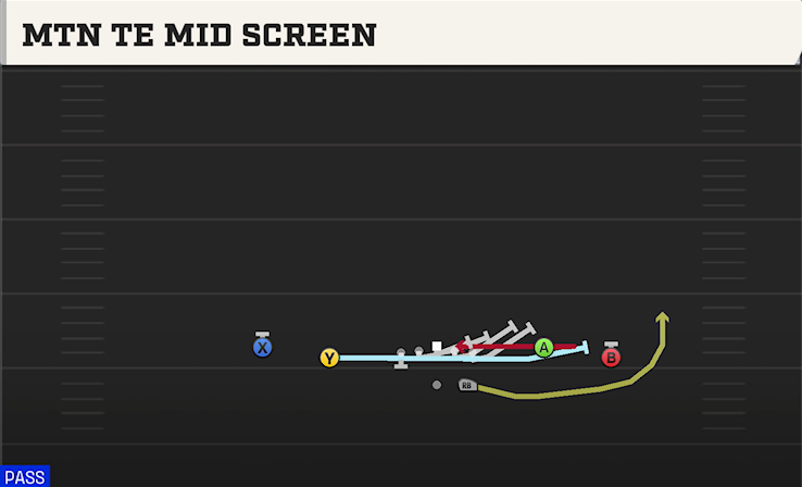 MTN TE MID SCREEN play diagram College Football 27