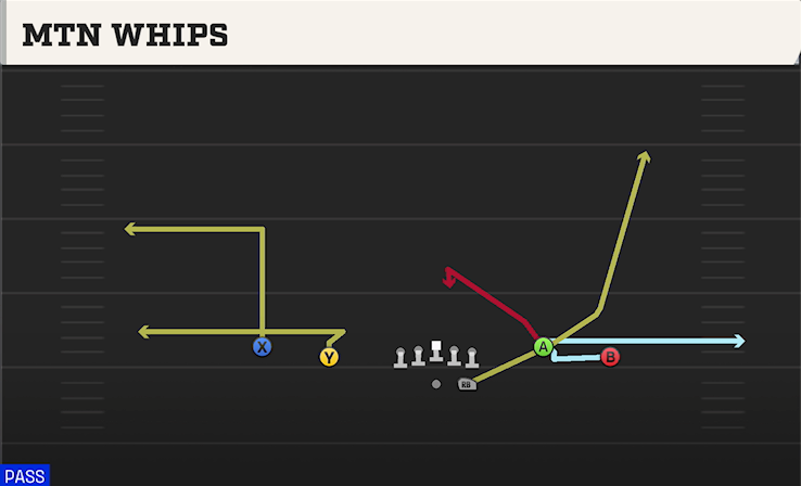 MTN WHIPS play diagram College Football 27