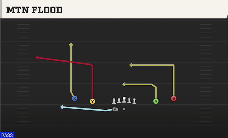 MTN FLOOD play diagram College Football 27