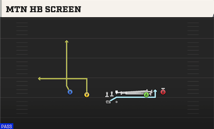 MTN HB SCREEN play diagram College Football 27