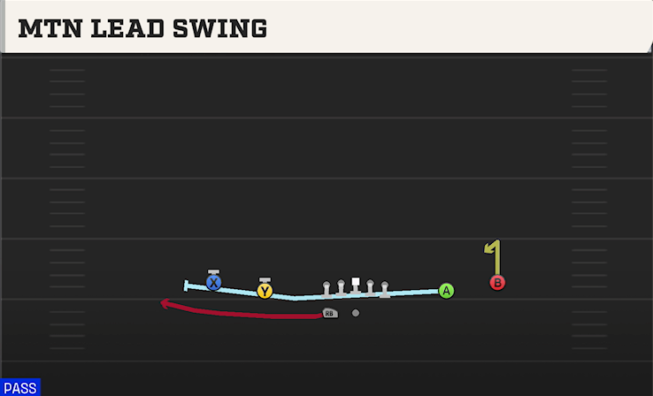 MTN LEAD SWING play diagram College Football 27
