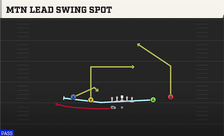 MTN LEAD SWING SPOT play diagram College Football 27