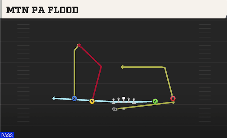 MTN PA FLOOD play diagram College Football 27
