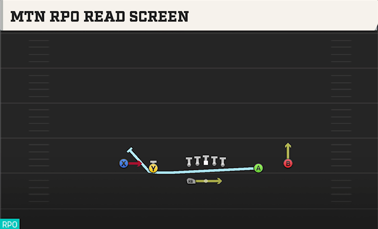 MTN RPO READ SCREEN play diagram College Football 27