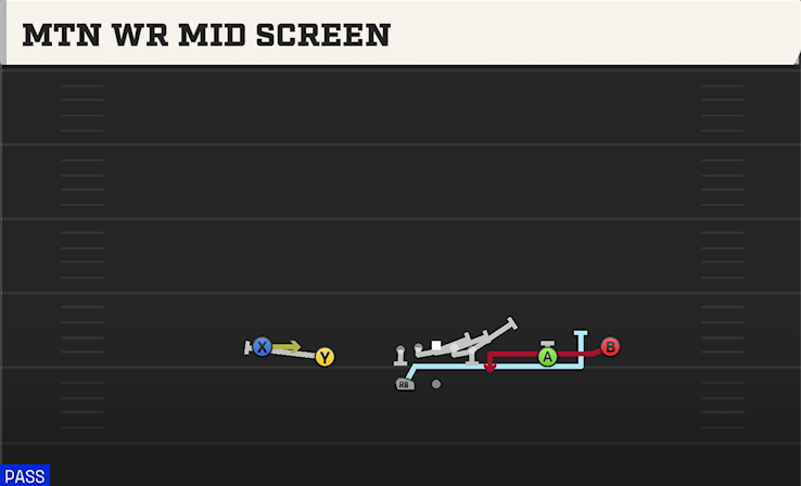 MTN WR MID SCREEN play diagram College Football 27