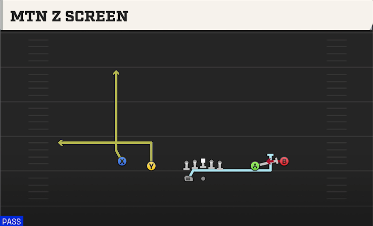 MTN Z SCREEN play diagram College Football 27
