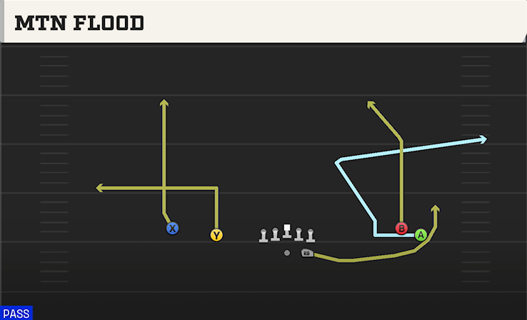MTN FLOOD play diagram College Football 27