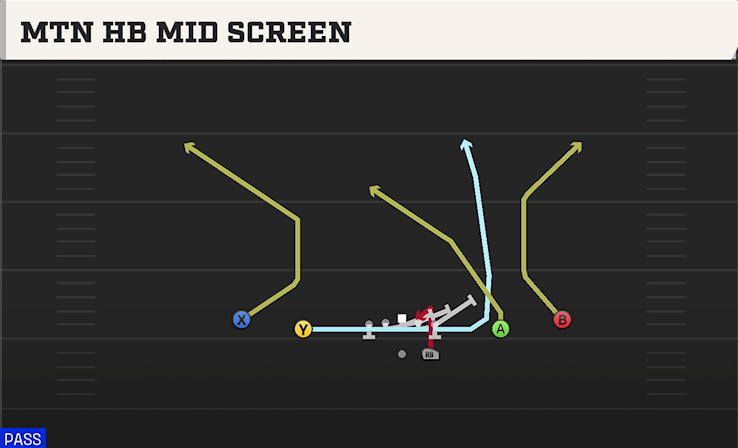 MTN HB MID SCREEN play diagram College Football 27